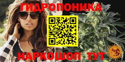 PSILOCYBIN Керчь
